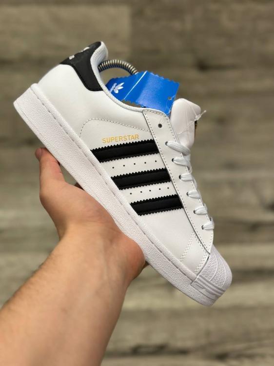 adidas superstar-1784